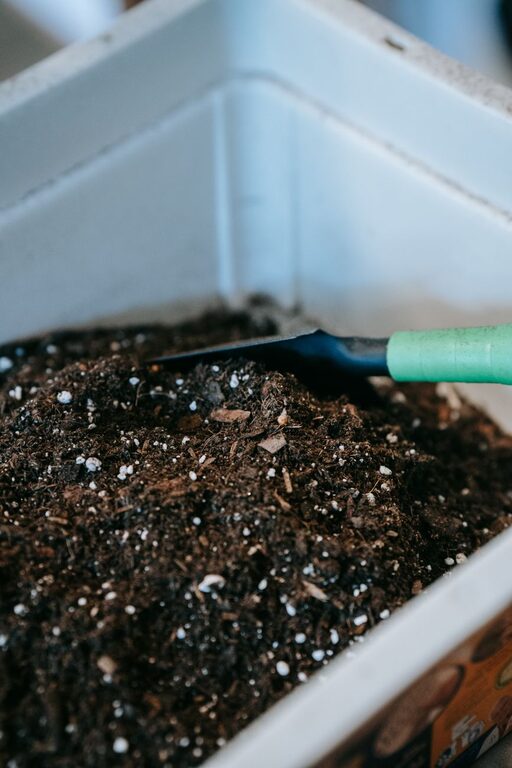 Beginner Tips for Composting at Home